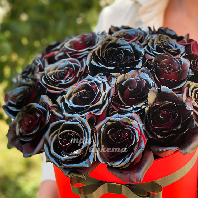 21 черная роза в шляпной коробке (крупный план)