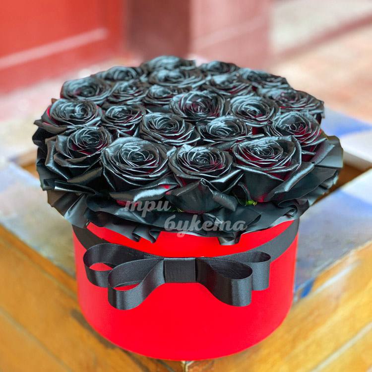 21 черная роза в шляпной коробке (на клумбе)