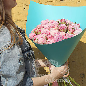 Пионы Сара Бернар Premium 35 шт.