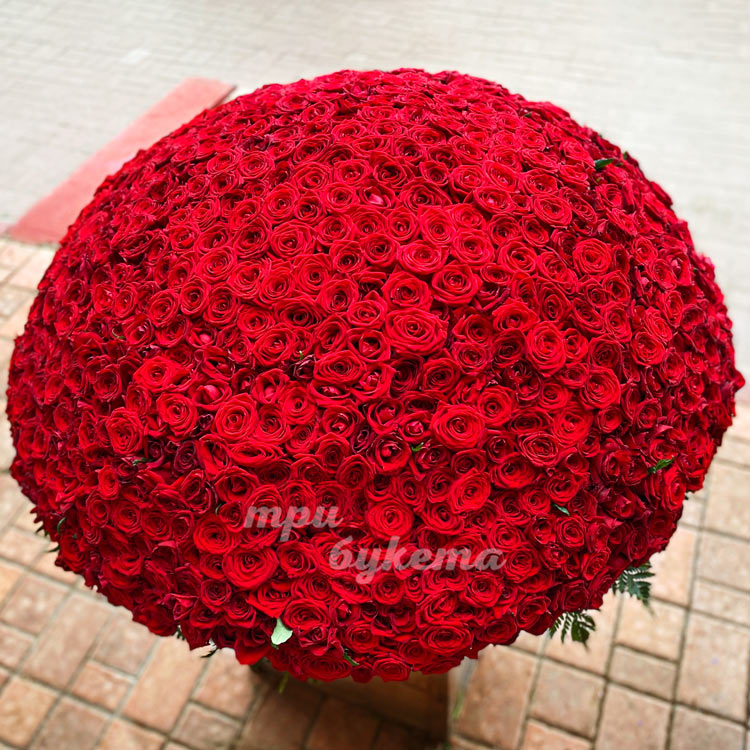 1001 красная роза в корзине (вид сверху)