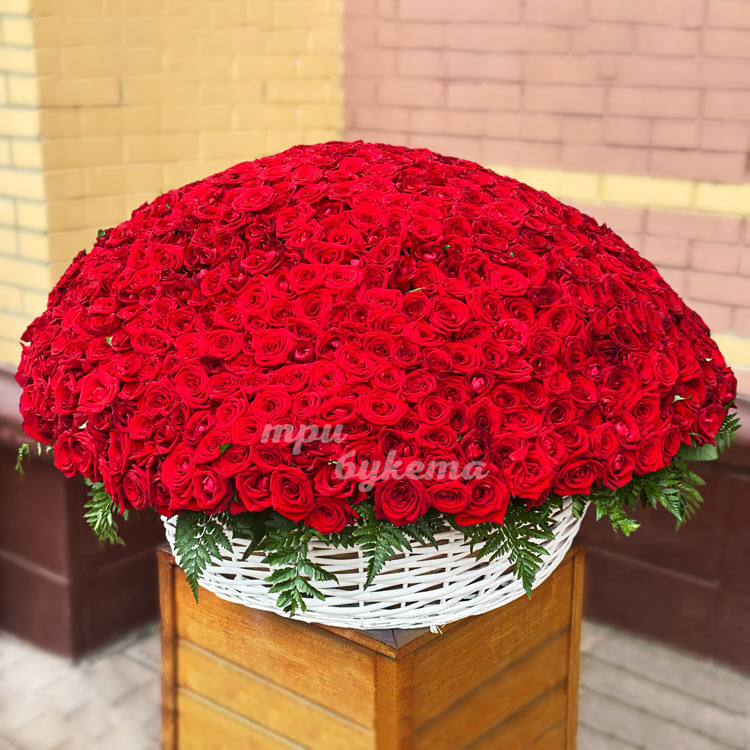 1001 красная роза в корзине