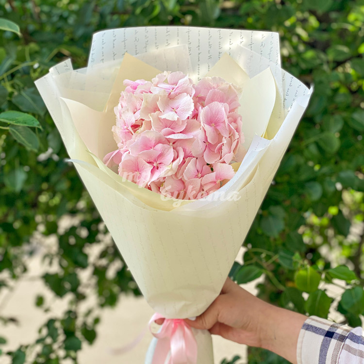 Букет из 1 розовой гортензии (на фоне деревьев)