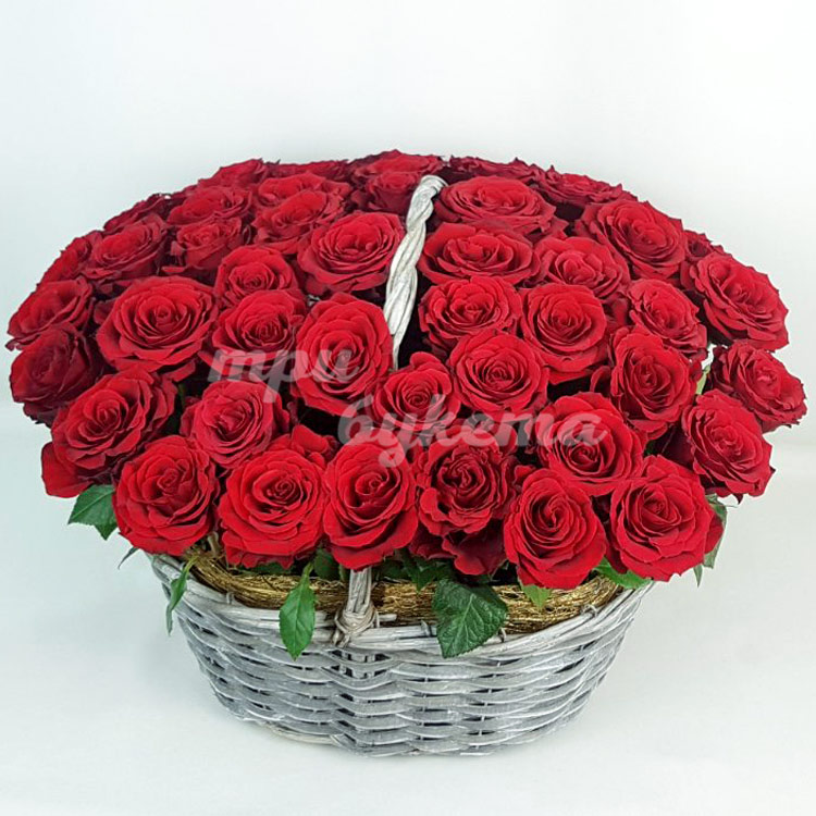 51 красная роза в корзине (на белом фоне)