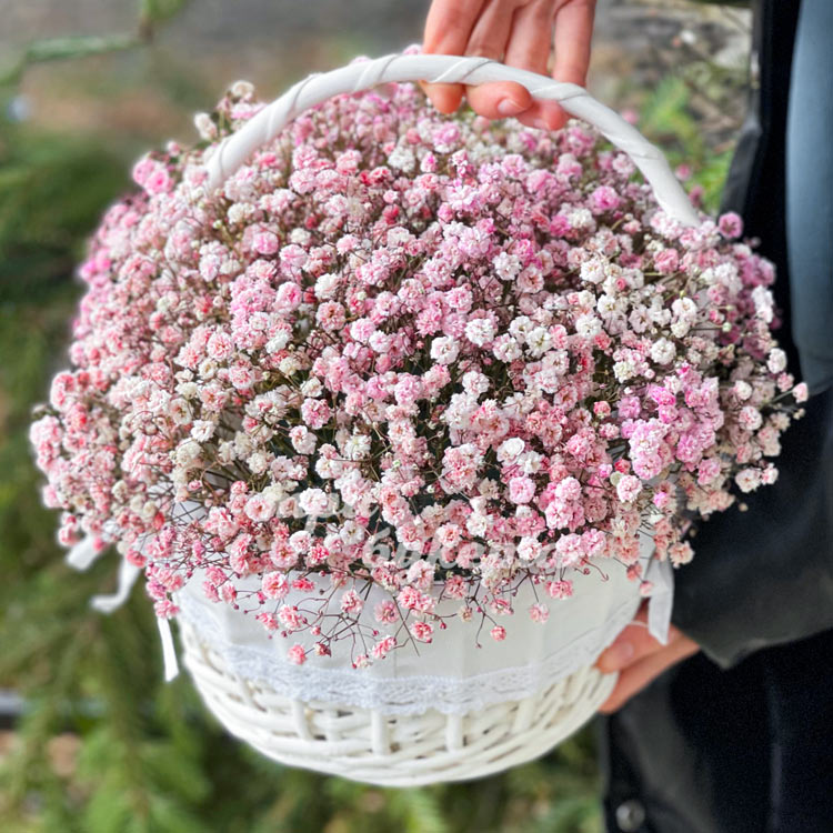 Корзина с 9 розовыми гипсофилами (вид сбоку)