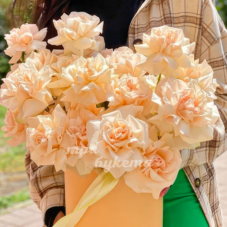 Коробка персиковых французских роз (крупный план)